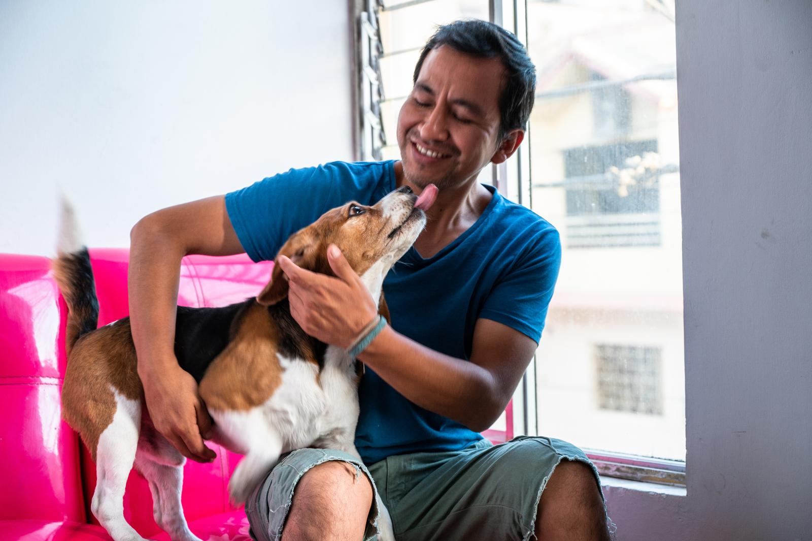 45736402 a man petting his dog beagle pet friendly love concept